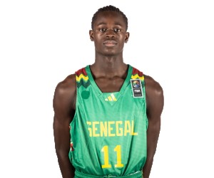 Cheikh Biteye basketball player - SG