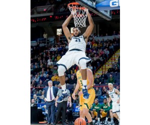 Chris Brady basketball player photo 1