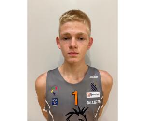 Dainars Zarins basketball player
