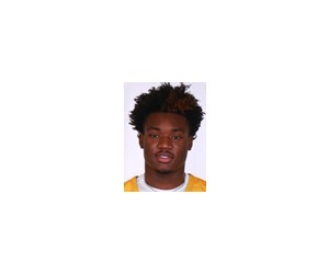 Damaria Franklin basketball player - G