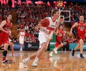 Daniel Grida basketball player - SF