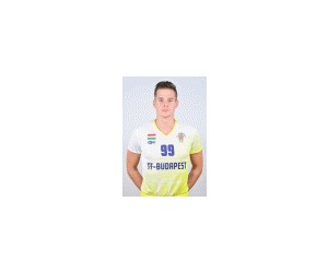 Daniel Zabo basketball player - SF