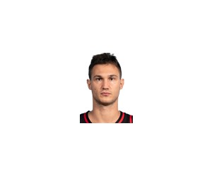 Danilo Gallinari basketball player photo 3