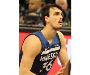 Dario Saric basketball player photo 1