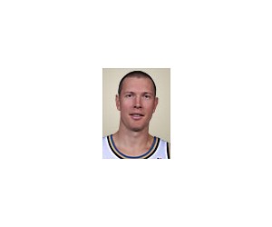 Darius Songaila basketball player - PF