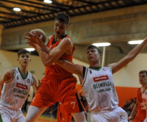 Darko Bajo basketball player photo 1
