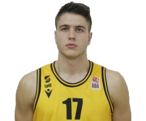 Darko Bajo basketball player - F