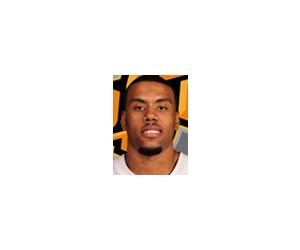 Darrell Williams basketball player - PF