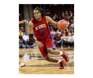 Daryl Palmer basketball player photo 1
