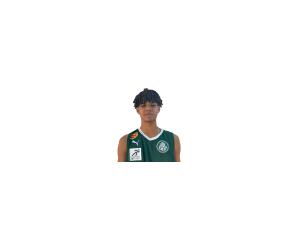 Davi De Araujo basketball player