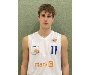 David Pavljak basketball player photo 2