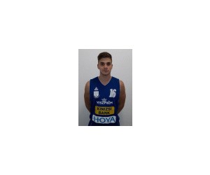 David Schmitz basketball player - SG
