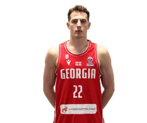 Davit Kakushadze basketball player photo 2