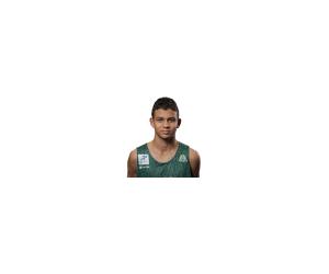 De Abreu basketball player