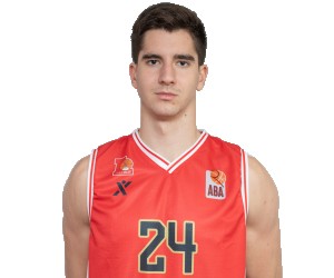 Dejan Banovic basketball player - SF