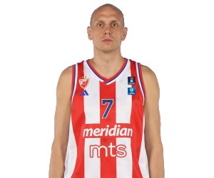Dejan Davidovac basketball player photo 3
