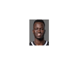 Deng Adel basketball player - SF