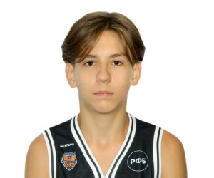 Denis Massalitin basketball player