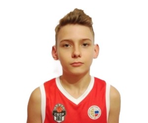 Denis Pogodin basketball player photo 1