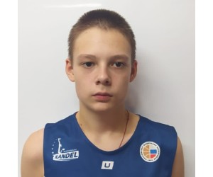 Denis Vasnin basketball player - F