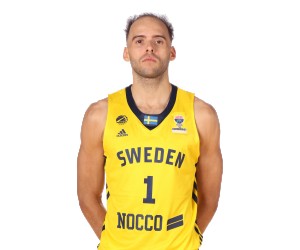 Denzel Andersson basketball player photo 2