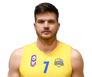 Dino Muric basketball player photo 1
