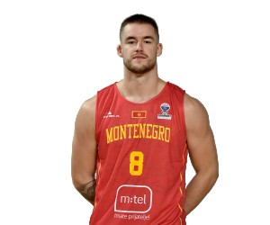 Dino Radoncic basketball player photo 2