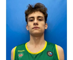 Dmitriy Milyutin basketball player photo 3