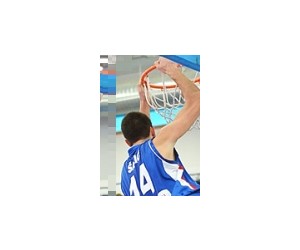 Doko Salic basketball player photo 1