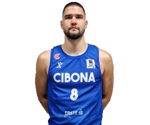 Domagoj Proleta basketball player photo 3