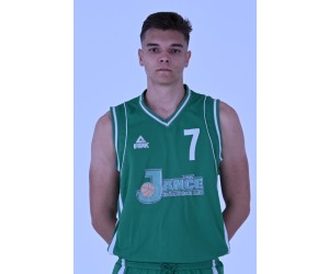 Domen Kopitar basketball player