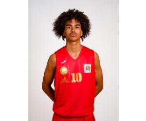 Domenico-Germaine Hansmeier basketball player photo 1