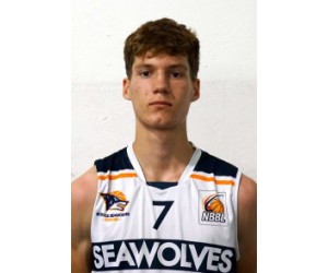 Dominik Dehmer basketball player