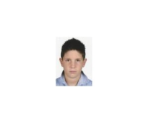 Dominik Pljesa basketball player - SF