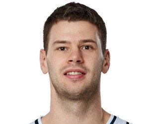 Dragan Apic basketball player photo 3