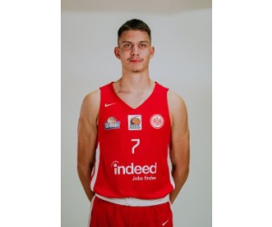 Dusan Nikolic basketball player photo 2