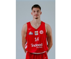 Dusan Nikolic basketball player photo 3