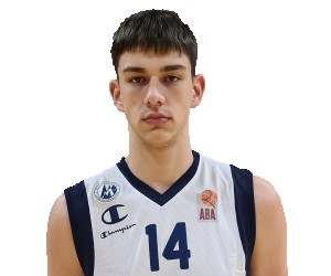 Dusan Tanaskovic basketball player photo 3