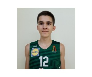 Einartas Aleksonis basketball player