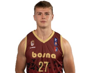 Elmir Dzafic basketball player photo 1