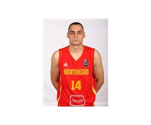 Elvis Cekic basketball player - SF