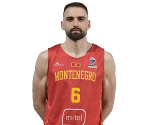 Emir Hadzibegovic basketball player photo 4
