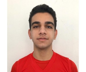 Erik Grigoryan basketball player