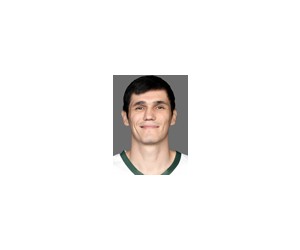 Ersan Ilyasova basketball player - F