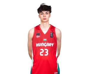 Ervin Domjan basketball player