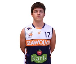 Fabian Dehmer basketball player