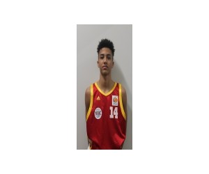 Fabian Gobel basketball player - SF