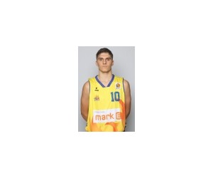 Fabian Hinske basketball player - SF