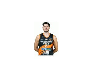 Fahrudin Manjgafic basketball player photo 4