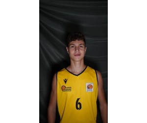 Faris Karabegovic basketball player